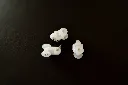 DSC08639.webp